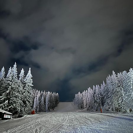 Vila Jezero Kopaonik Eksteriør billede